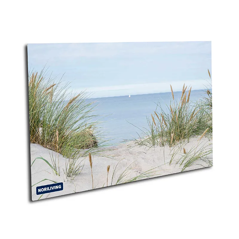 Muster Duschrückwand Dünengras im Wind 428